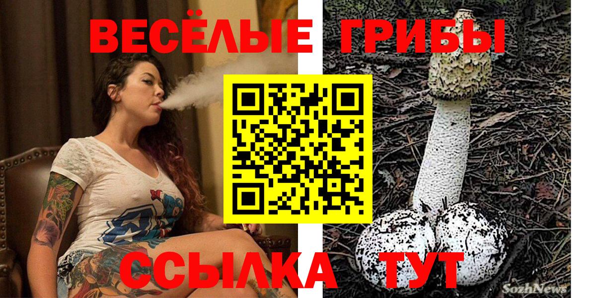 Учалы  Псилоцибиновые грибы Psilocybine cubensis  Вход с VPN 