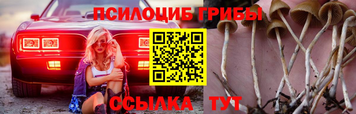 Псилоцибиновые грибы Psilocybe Учалы